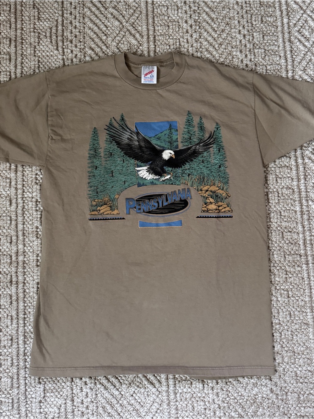 Jerzees Vintage Khaki Pennsylvania x Bald Eagle Graphic Tee